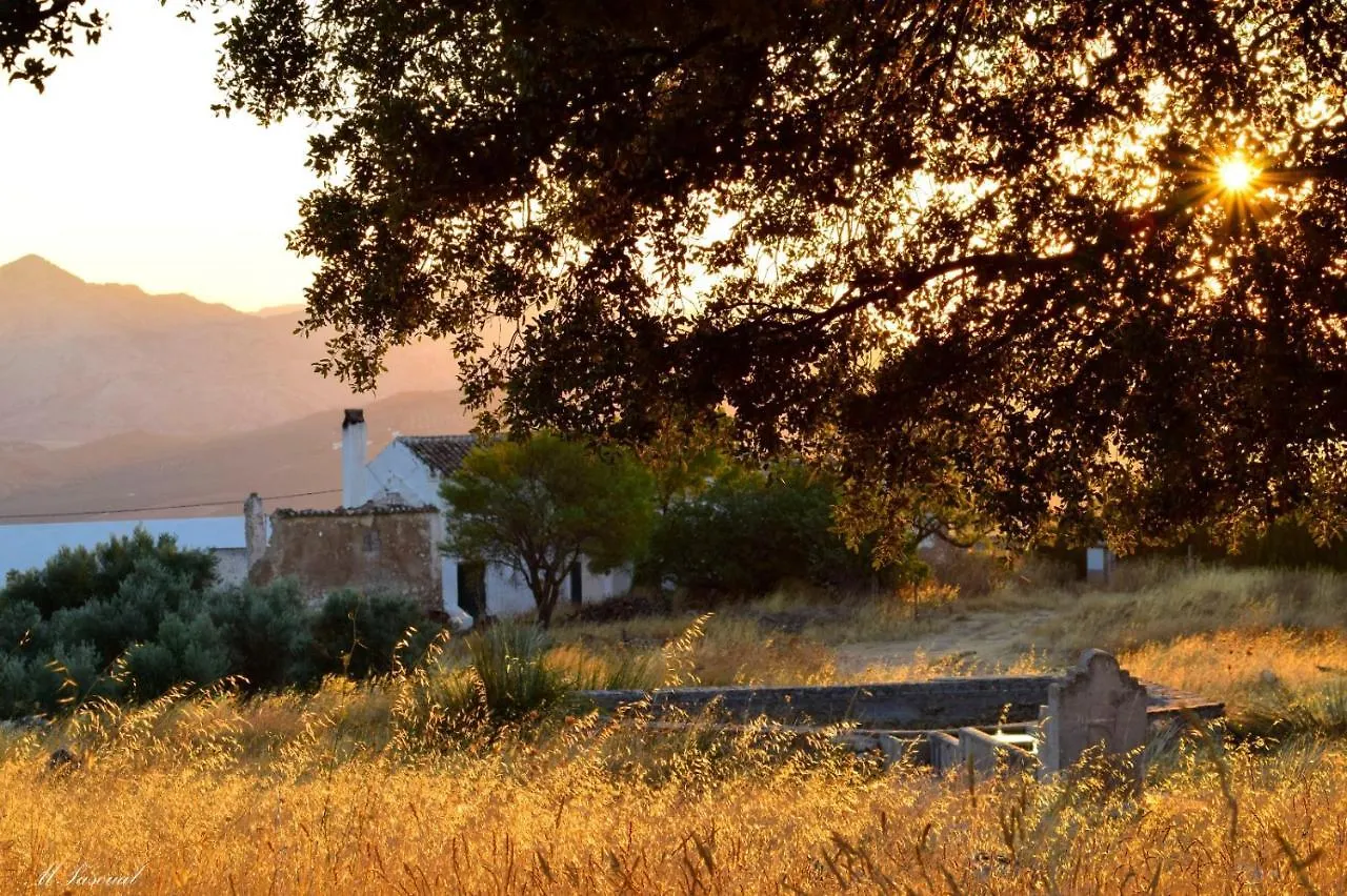 La Casa De La Huerta Stylish Family Cottage In Malaga Countryside Holiday home